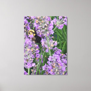 Impressão Em Tela Abeia na Flor de Lavanda