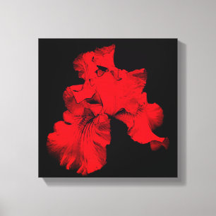 Impressão Em Tela Abstrato de Flor Íris Vermelha Quente