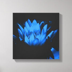 Impressão Em Tela Abstrato de Flor Lily Lotus Azul-Água