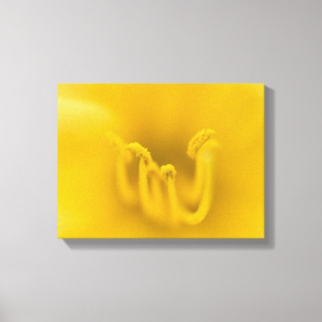 Impressão Em Tela Abstrato Yellow Hibiscus Flower (Frente)