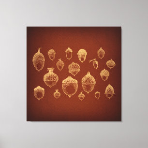 Impressão Em Tela Acorns Antique Acorn Art Ilustrado Vintage