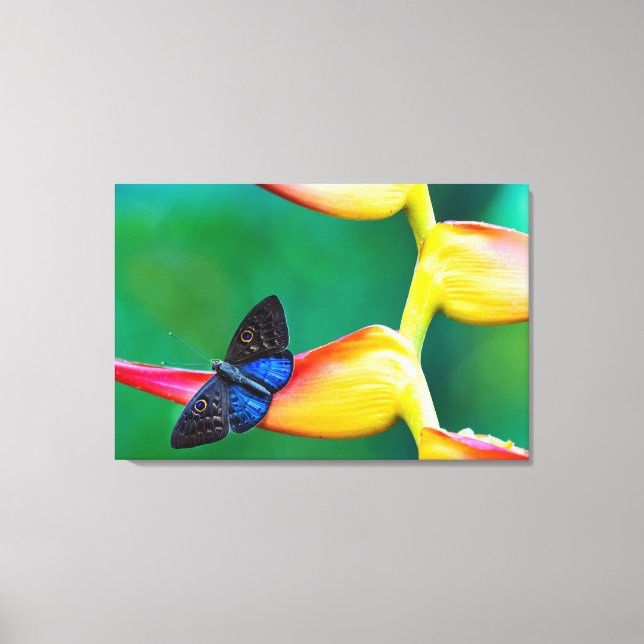 Impressão Em Tela Adicione Seus Próprios presentes personalizados do (Frente)