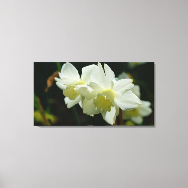 Impressão Em Tela Adorável em Branco (Frente)