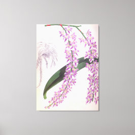 Impressão Em Tela Aerides Lobbii Vintage Lilac Lindenia Orchid