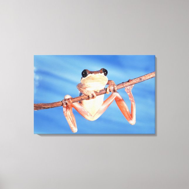 Impressão Em Tela África (Frente)