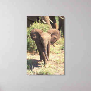 Impressão Em Tela África, Quênia, Parque Nacional de Amboseli. Afric