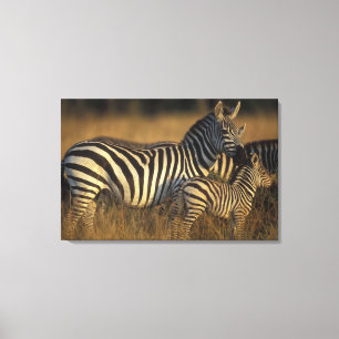 Impressão Em Tela África, Quênia, Reserva de Caça Masai Mara. Planíc