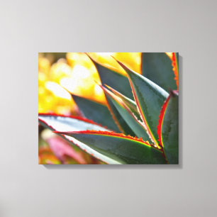 Impressão Em Tela Agave 'Blue Glow' de Debra Lee Baldwin