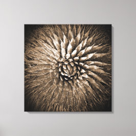Impressão em tela Agave Spikes Sepia 22" x 22"