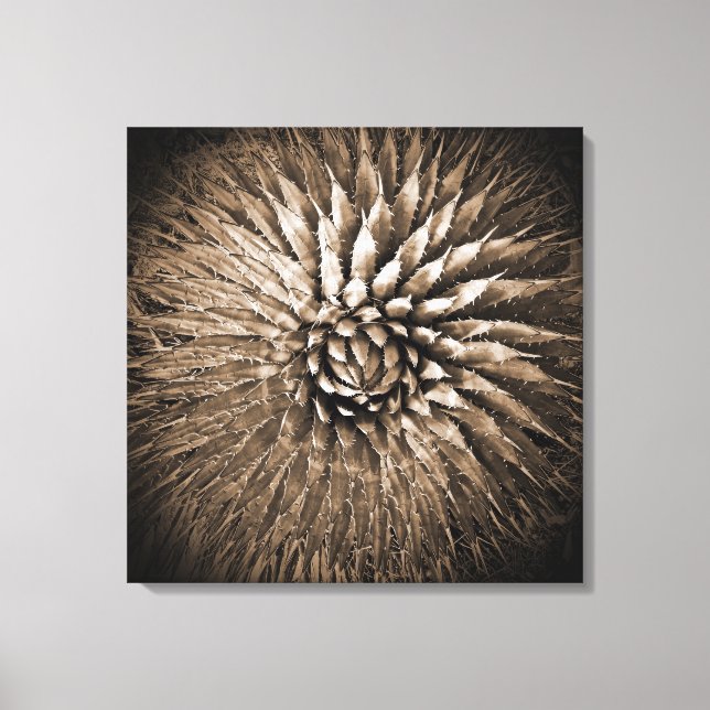 Impressão em tela Agave Spikes Sepia 22" x 22" (Frente)