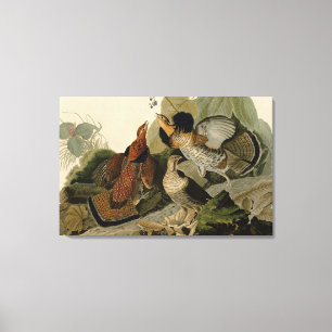 Impressão Em Tela Agrupamento Rachado - das Aves da América de Audub