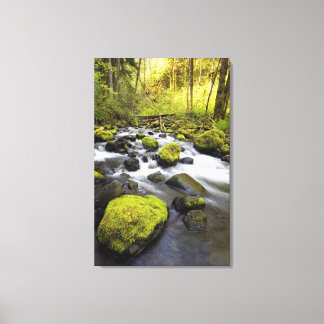 Impressão Em Tela Água Fluindo Por Rochas Cobertas Por Moss Em Um Fl