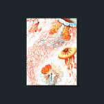 Impressão Em Tela Água-viva, Disco de Ernst Haeckel<br><div class="desc">Água-viva,  Disco Scheibenquallen por Ernst Haeckel Canvas Print</div>