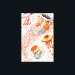 Impressão Em Tela Água-viva, Disco de Ernst Haeckel<br><div class="desc">Água-viva,  Disco Scheibenquallen por Ernst Haeckel Canvas Print</div>