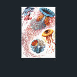Impressão Em Tela Água-viva Vintage por Ernst Haeckel, Discomedusae<br><div class="desc">Ilustração vintage de biologia da vida marinha por Ernst Haeckel. Uma variedade de coloridos animais de água-viva nadando nas águas do mar. Águas-vivas são animais aquáticos de natação livre com um corpo em forma de guarda-chuva e longos tentáculos. Eles podem ser encontrados em todos os oceanos e alguns em lagos...</div>
