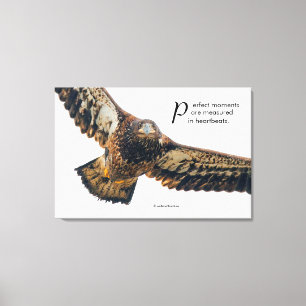 Impressão Em Tela Águia caida de aspas inspiracionais em voo