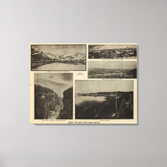 Impressão Em Tela Alasca 6 (Frente)