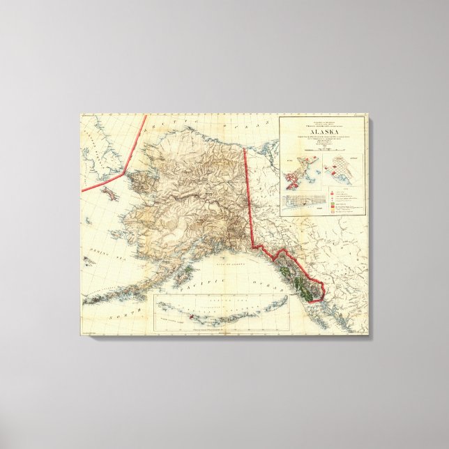 Impressão Em Tela Alasca 7 (Frente)