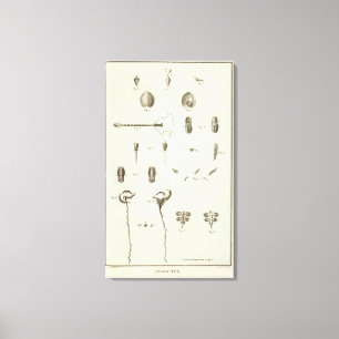 Impressão Em Tela Alaska 5