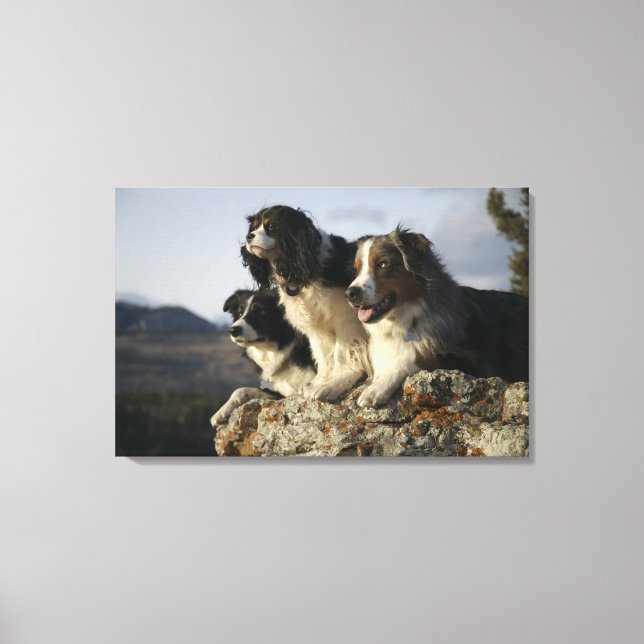 Impressão Em Tela Alberta, Canadá 2 (Frente)