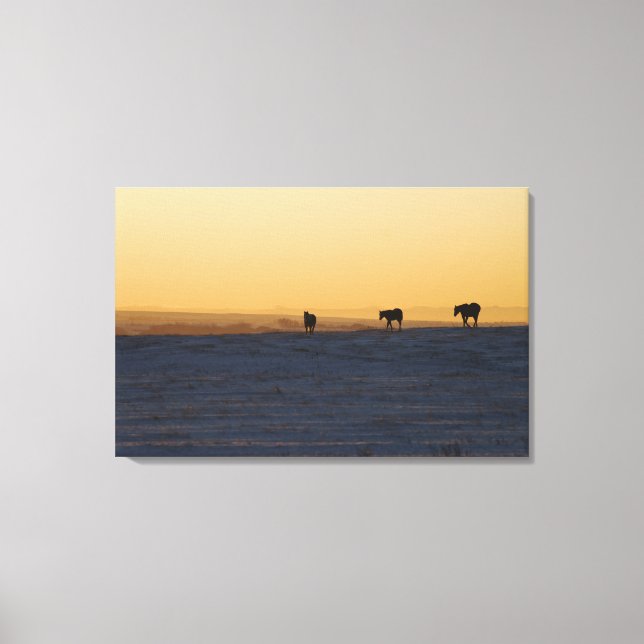 Impressão Em Tela Alberta, Canadá 3 (Frente)