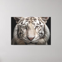 Albino Majestade White Tiger Realismo Arte Digital
