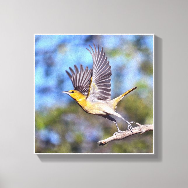 Impressão Em Tela Alcançar Para O Céu (Frente)