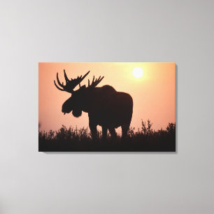 Impressão Em Tela alce, Alces alces, touro com grandes chifres,