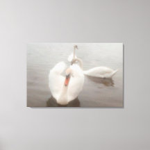 Alegres Cisnes em Watercolors Modernos no Danúbio