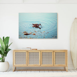 Impressão Em Tela Alimentação de aves no Sunset Key West Florida