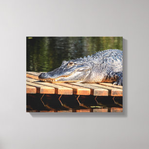 Impressão Em Tela Alligator 14x11 no estado de vida selvagem de Prim