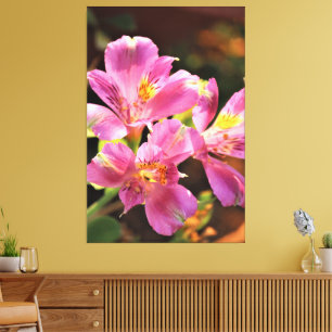 Impressão Em Tela Alstroemeria Lilly Stunning Floral Bold Rosa