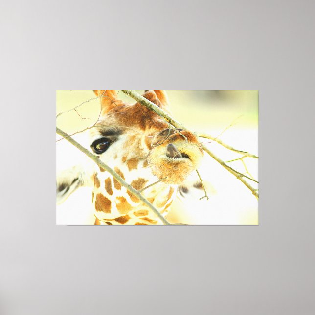 Impressão Em Tela ALTA ESPERANÇA 40x60 (Frente)