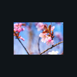 Impressão Em Tela Amabilidade Das Flores De Sakura Frescas Em Spring<br><div class="desc">Flores sakura recém-frescas e tenras de cor rosa macia em galhos de árvores. O fundo do céu azul e da cereja floresce. O conto de fadas de Hanami, a estação de observação de sakura. Uma pintura digital muito grande a partir de uma fotografia. Impressão floral esticada de tela para decorar...</div>