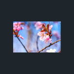 Impressão Em Tela Amabilidade Das Flores De Sakura Frescas Em Spring<br><div class="desc">Flores sakura recém-frescas e tenras de cor rosa macia em galhos de árvores. O fundo do céu azul e da cereja floresce. O conto de fadas de Hanami, a estação de observação de sakura. Uma pintura digital muito grande a partir de uma fotografia. Impressão floral esticada de tela para decorar...</div>