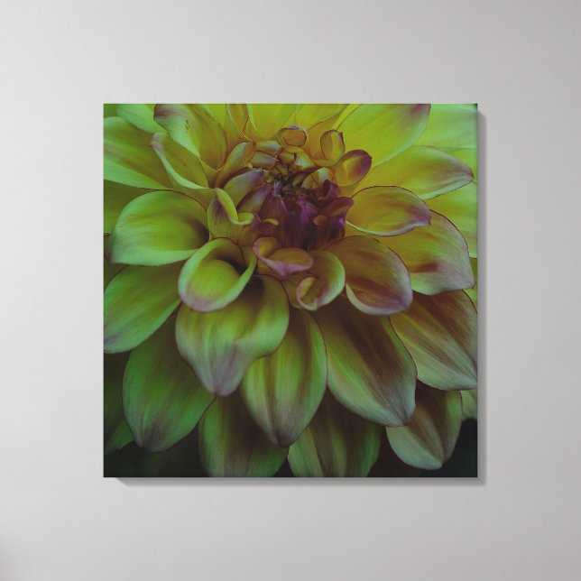 Impressão Em Tela Amarelo Dahlia (Frente)