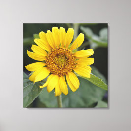 Impressão Em Tela Amarelo sunny bonito Girassol 24" x 24"