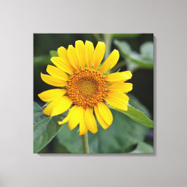 Impressão Em Tela Amarelo sunny bonito Girassol 24" x 24"