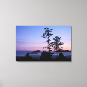 Impressão Em Tela América do Norte, Canadá, Ilha de Vancouver, árvor