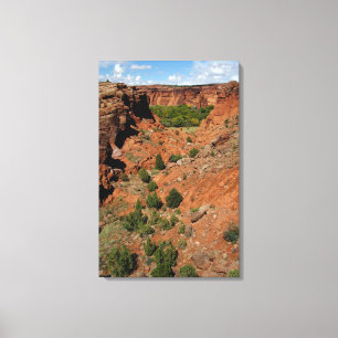 Impressão Em Tela América do Norte, EUA, Arizona, Navajo índio