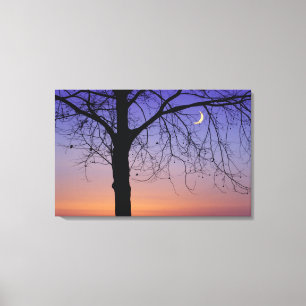 Impressão Em Tela América do Norte, EUA, Flórida, Monte Dora, a