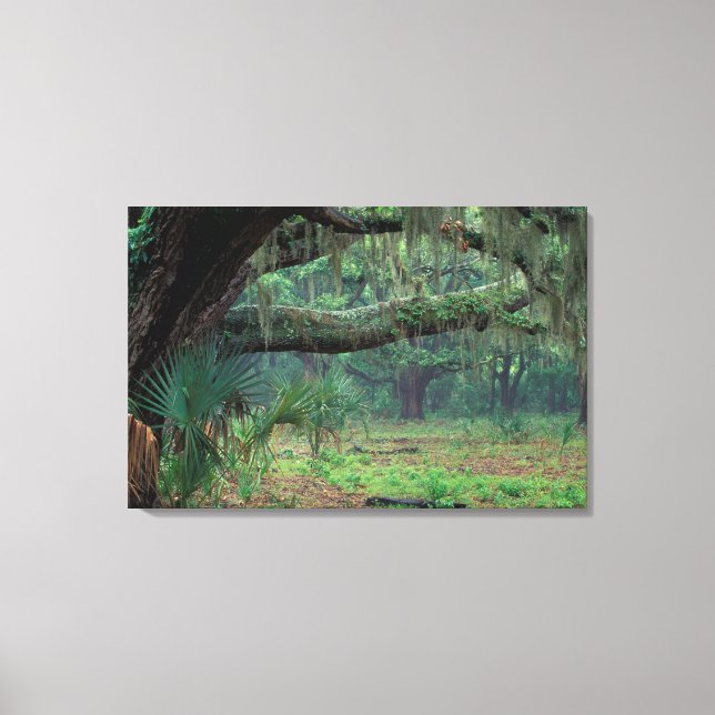 Impressão Em Tela América do Norte, EUA, Geórgia, Cumberland 2 (Frente)