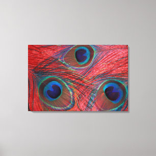 Impressão Em Tela America do Norte, EUA, WA, Redmond, pavão