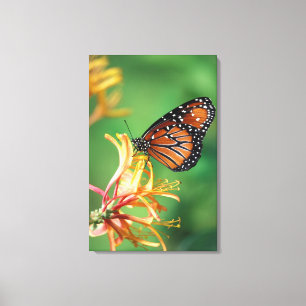 Impressão Em Tela América do Norte, EUA, WA, Seattle, Woodland Park