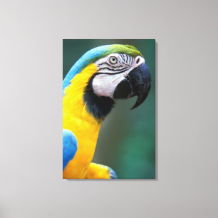 Impressão Em Tela América do Sul, Brasil, Parque Nacional Iguacu,