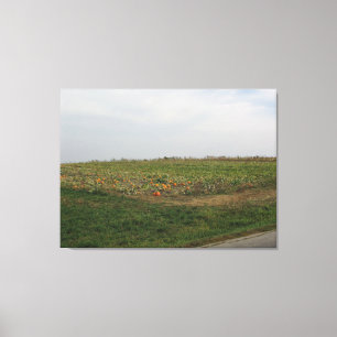 Impressão Em Tela Amish Pumpkin Patch Fazenda Fotografia Wall Art