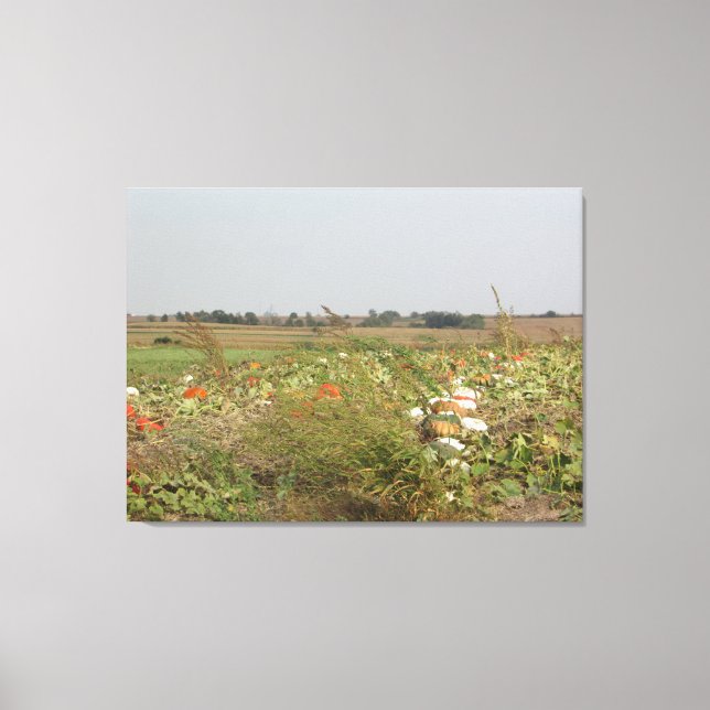 Impressão Em Tela Amish Pumpkin Patch Fazenda Fotografia Wall Art (Frente)