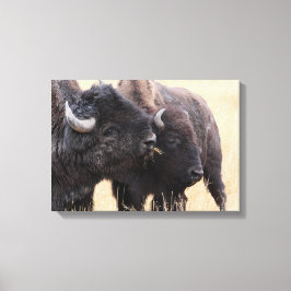 Impressão Em Tela amizade bison