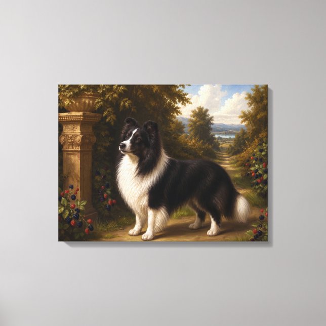Impressão Em Tela Amoras, Shetland Sheepdog (Frente)