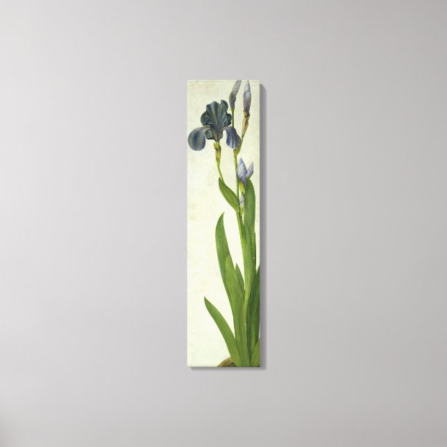 Impressão Em Tela An Iris (Frente)